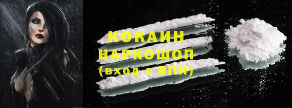сатива Армянск